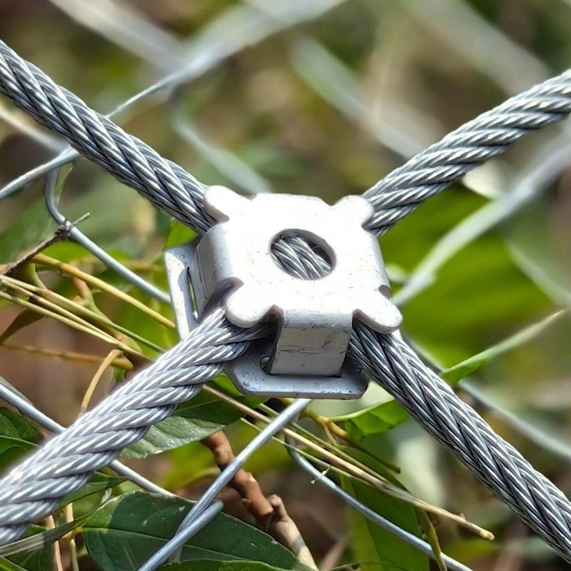 фото_20251112095433_20_47