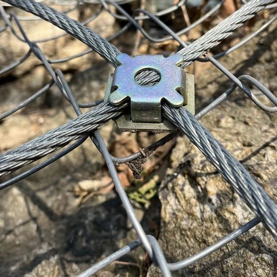 фото_20251112095432_19_47